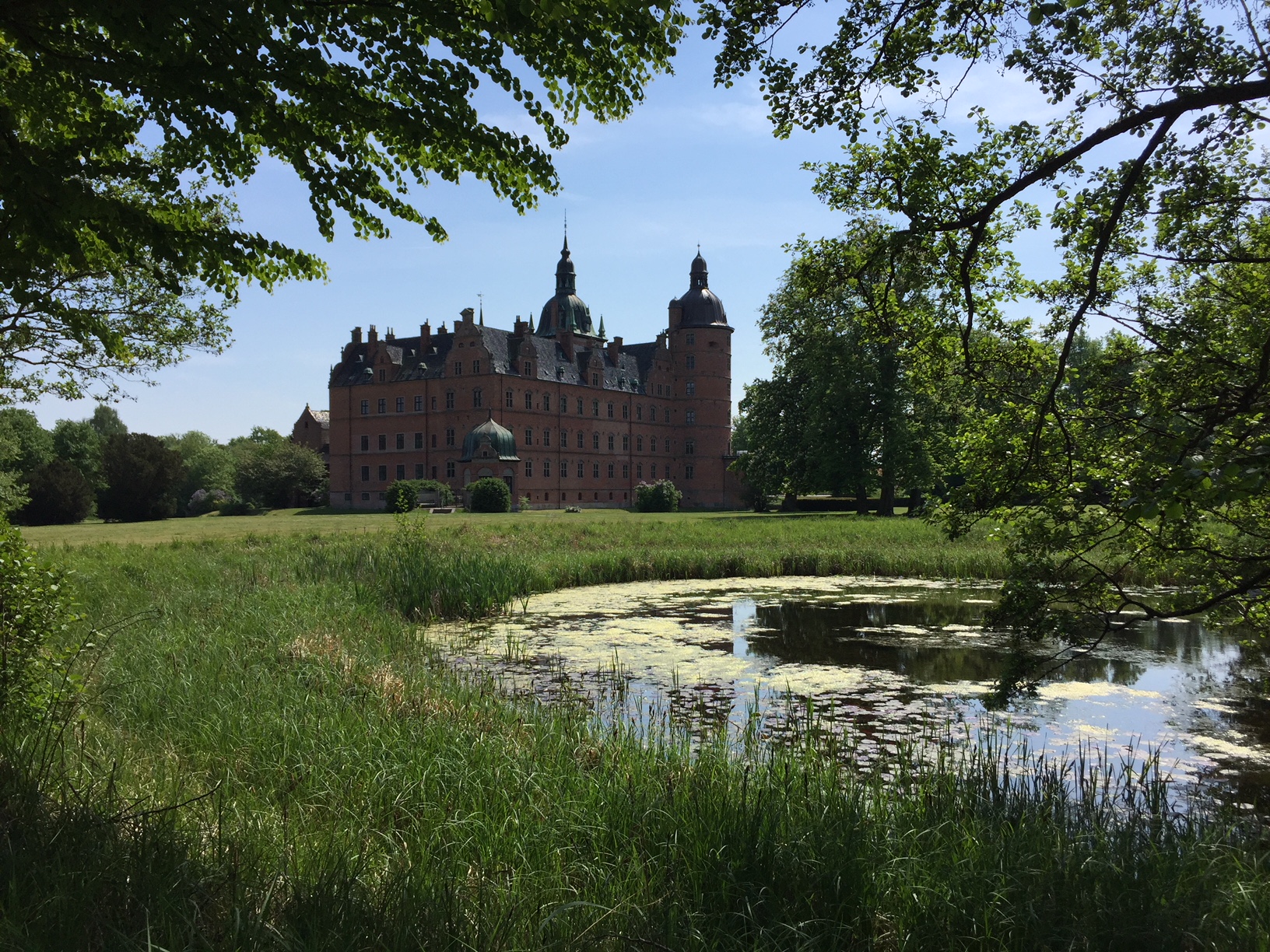 Find ro med mindfulness i naturen