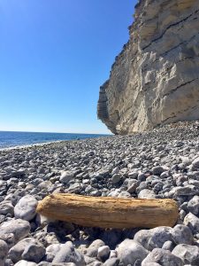 Rå og uforstyrret natur ved Stevns Klint