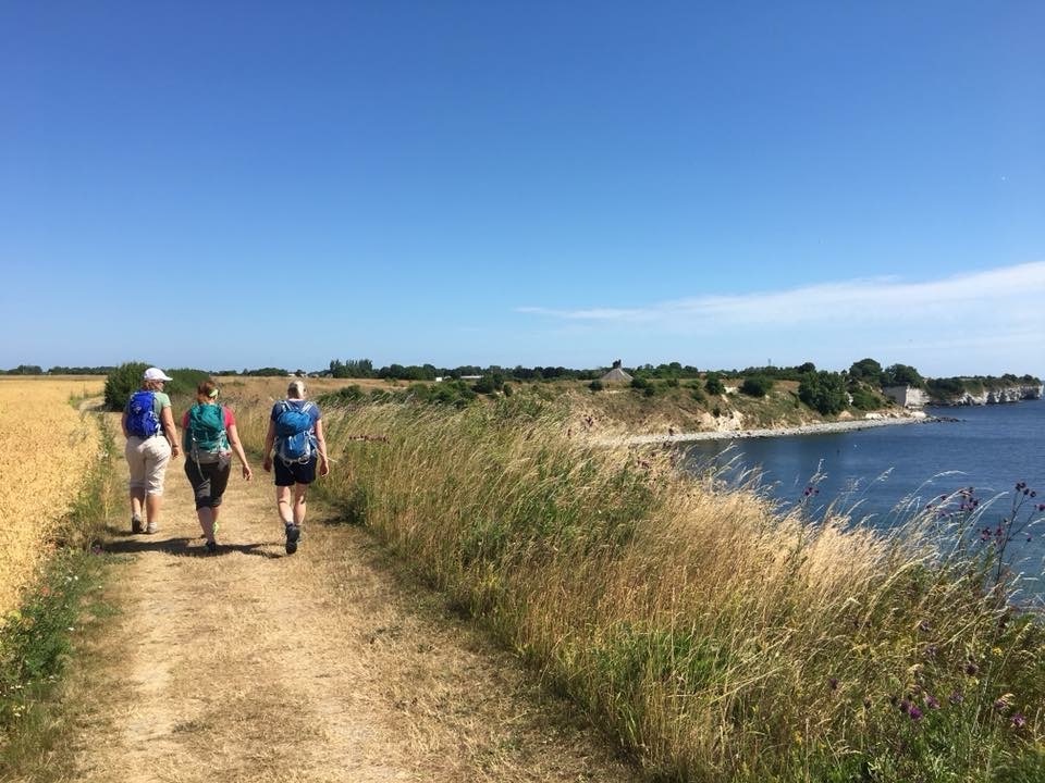 Nydelsesfuld vandretur langs Stevns Klint med veninder 