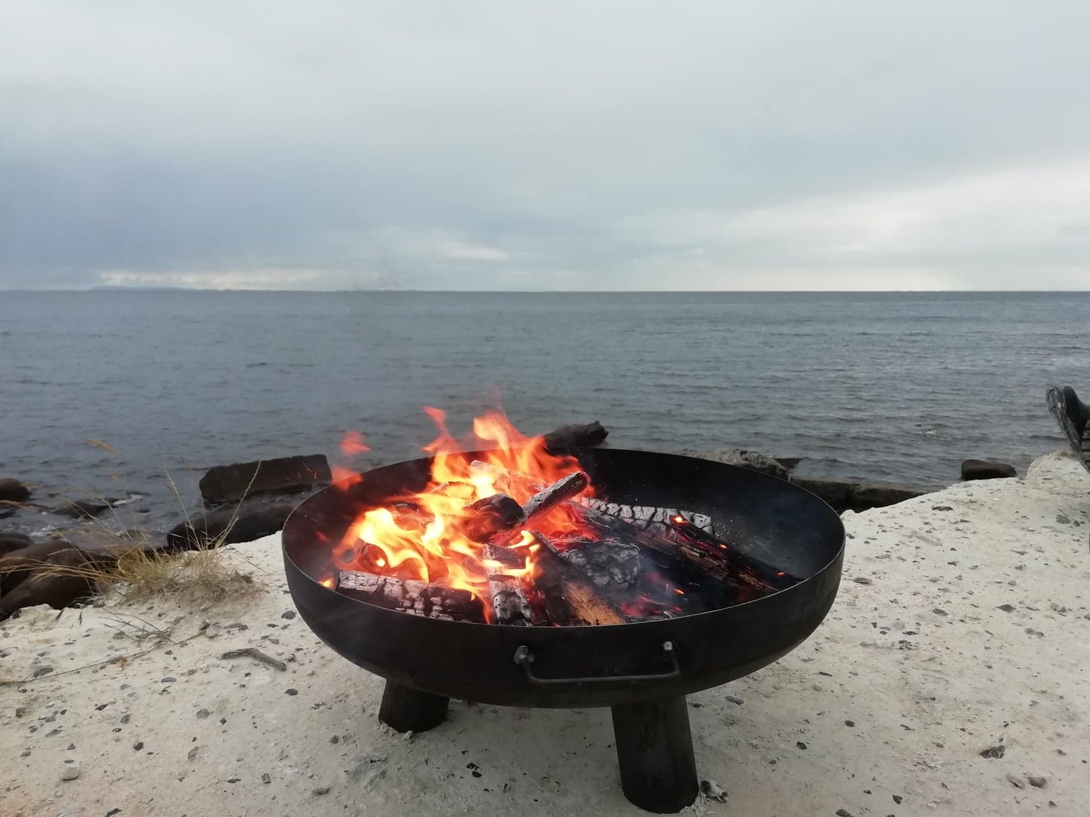 Bål ved Stevns Klint