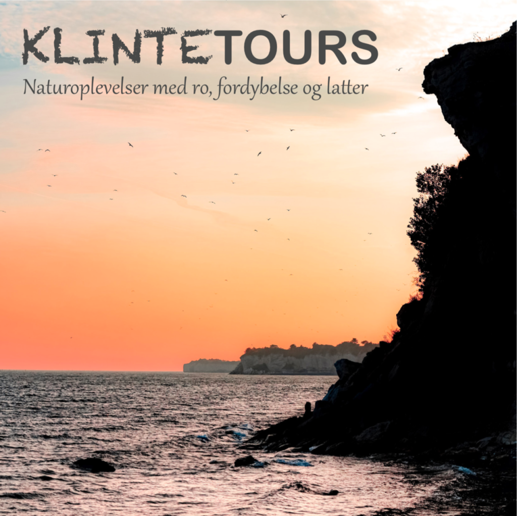 Forside til Klintetours brochure. Viser et billede af solopgang ved Stevns Klint