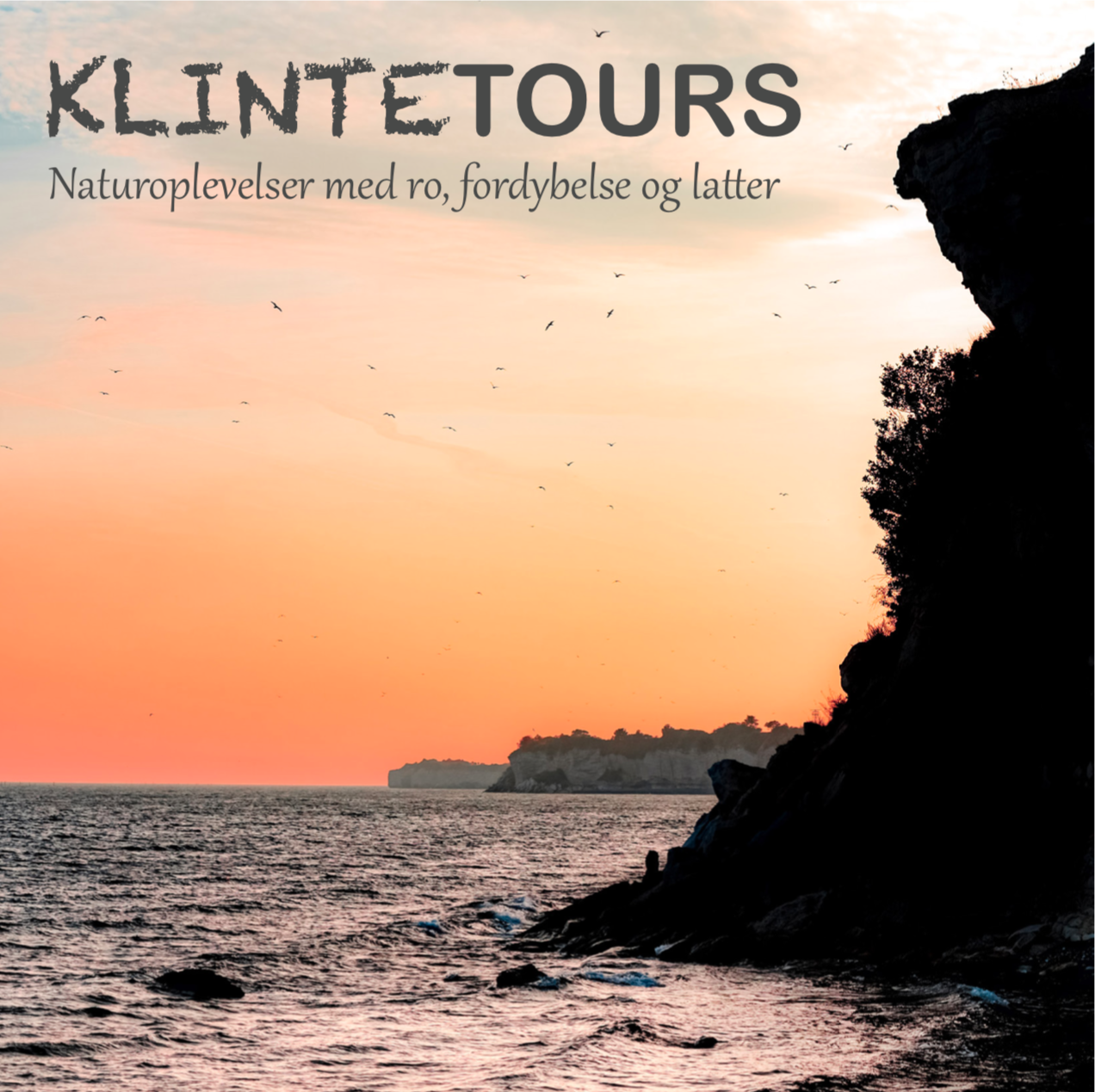 Brochure for Klintetours