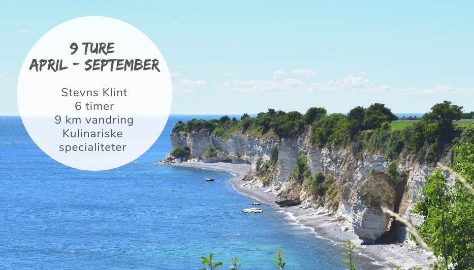 Stevns Klint guidet vandretur