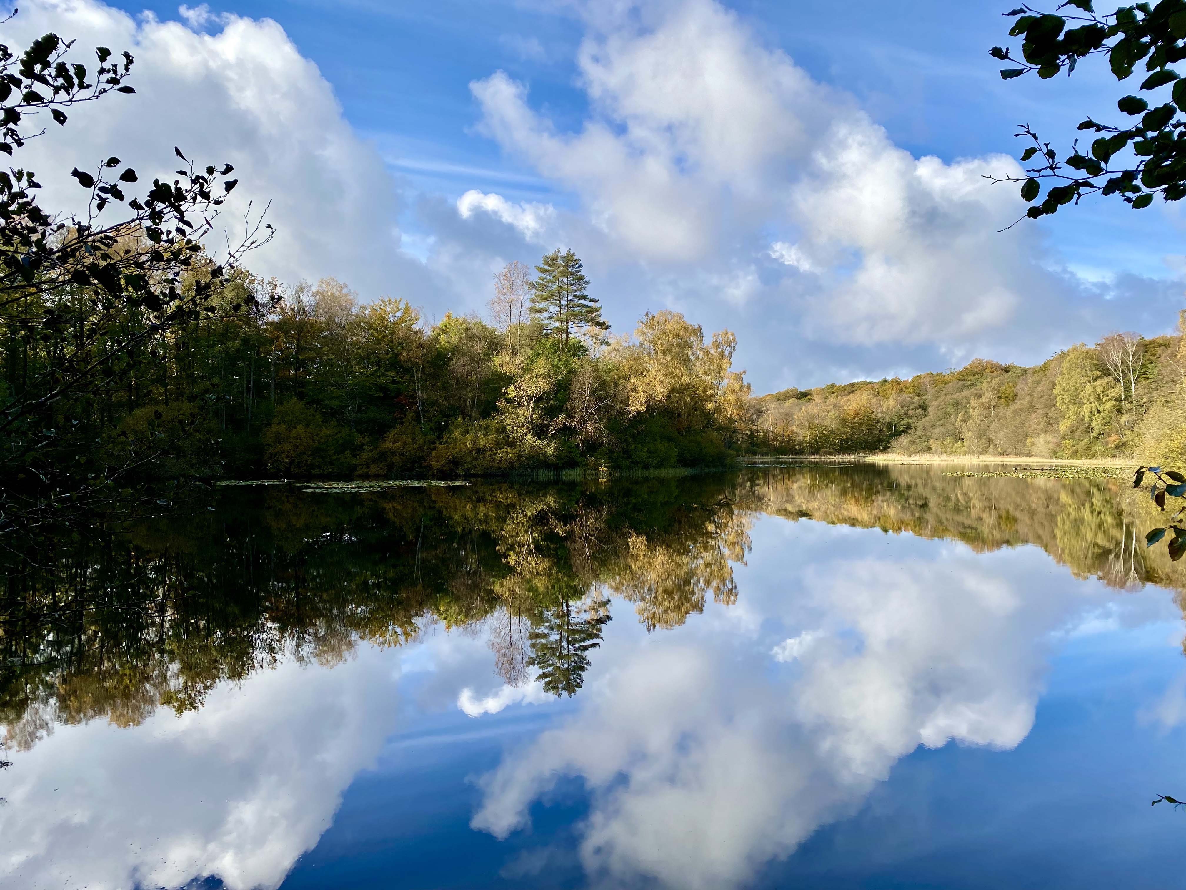 Oplev fantastisk natur i Söderåsen nationalpark 