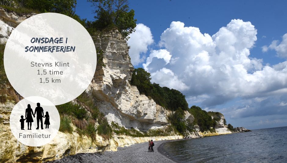 tur for børn og voksne ved stevns klint