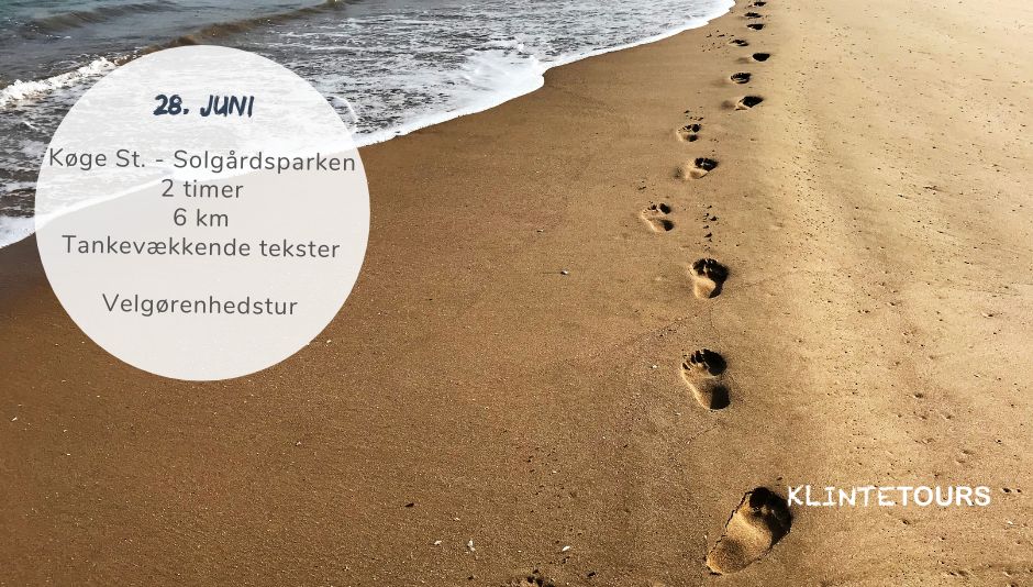 Ord ved havet – en litterær gåtur til Havets Folkemøde