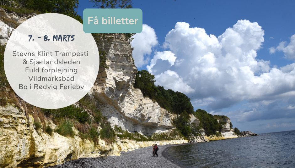 Vandretur vandreferie Stevns Klint