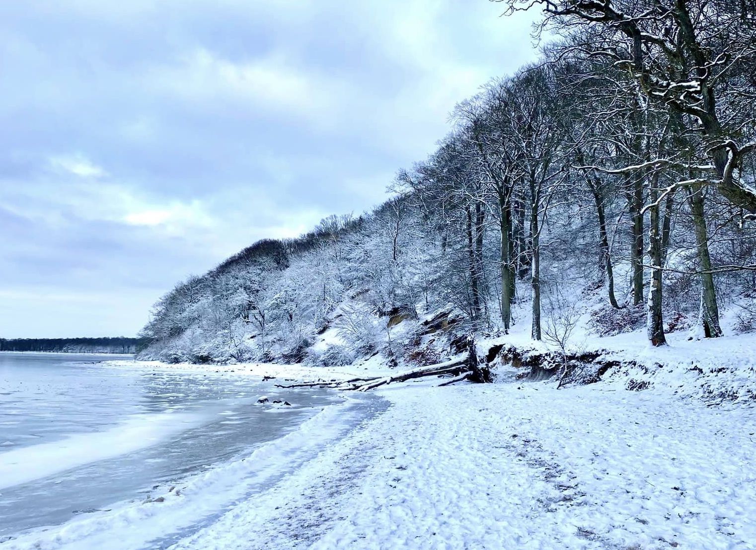 Boserup Skov Roskilde vandretur vinter