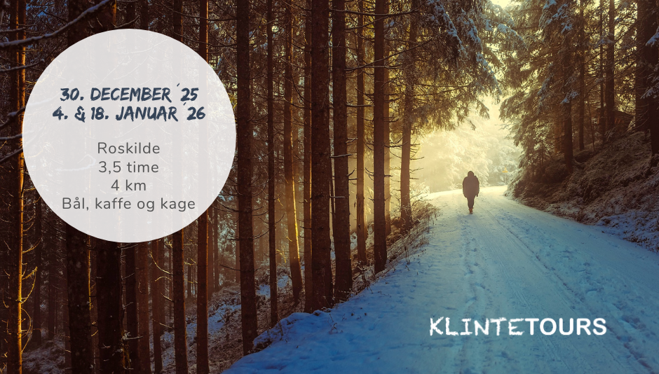 Stille vintervandring i Boserup Skov