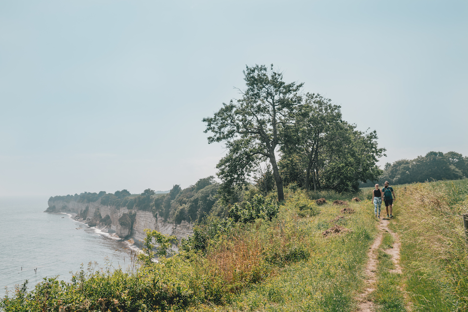 hiking the stevns klint stomping trail outdoor experience Zealand