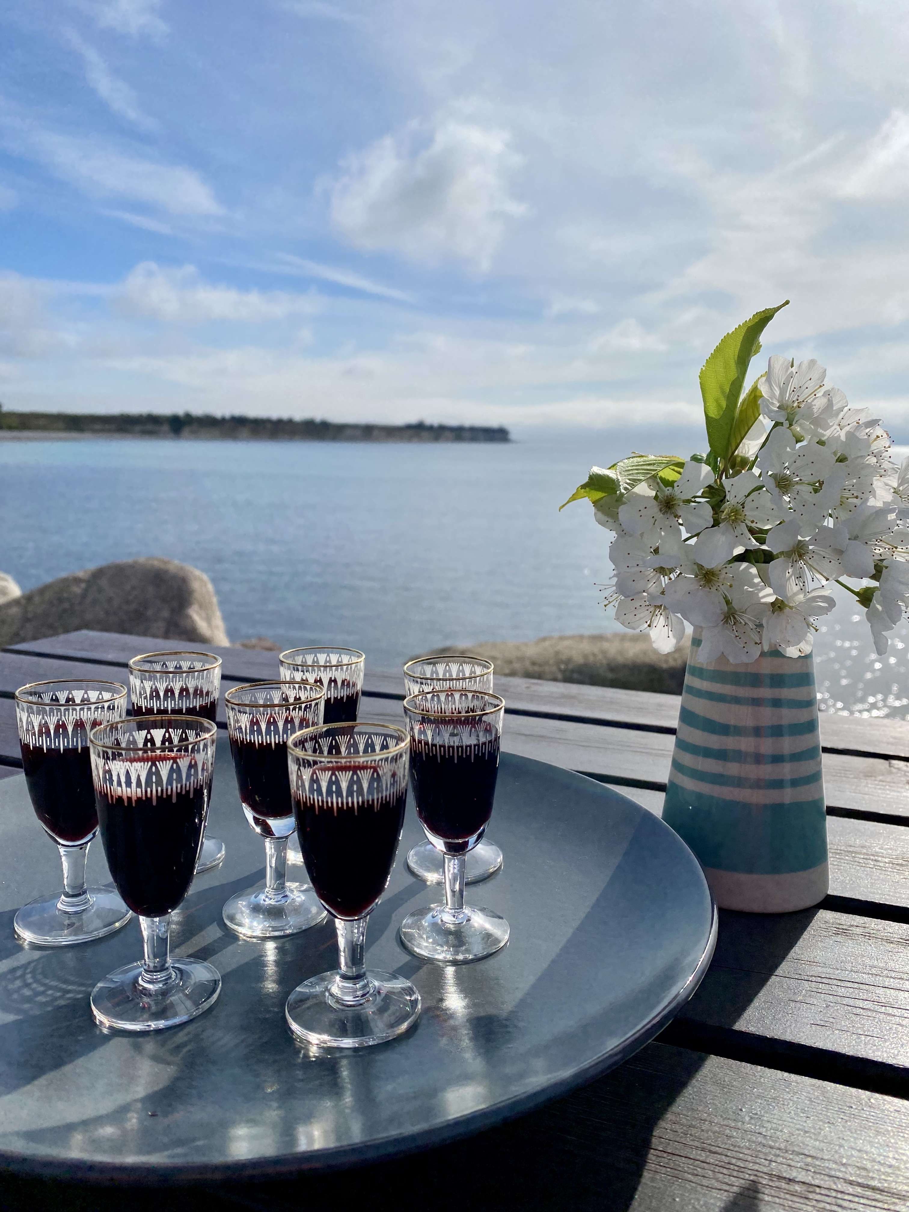 gikisa kirsebaersaft serveret ved stevns klint paa gastro hike