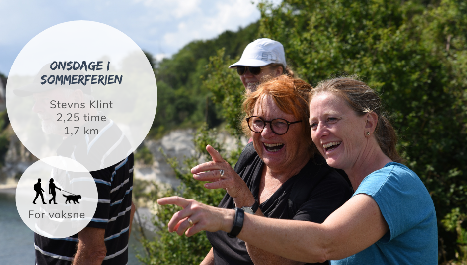 Guidet gåtur på Stevns Klint – fortællinger for voksne